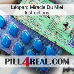 Léopard Miracle Du Miel Instructions new02